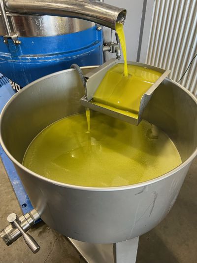 Luretik-olive-oil-production.JPG