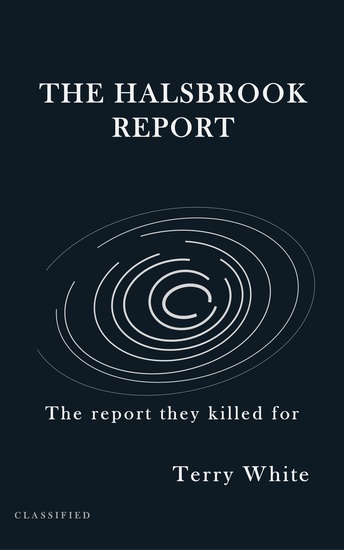 Cover of The Halsbrook Report. A mega-hurricane lays waste a city