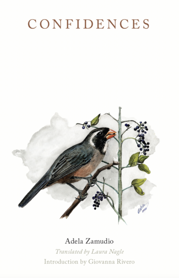 Cover image of CONFIDENCES by Adela Zamudio, translated by Laura Nagle, introduction by Giovanna Rivero. Illustration of a bird (golden-billed saltator) on a branch by Omar Custodio.