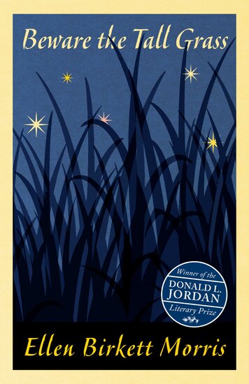 tall grass against a sky full of stars 