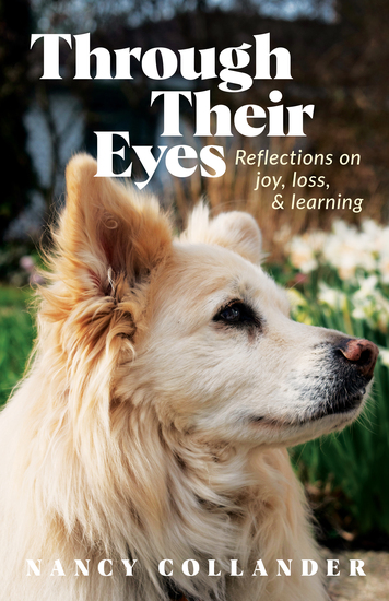 Through Their Eyes cover