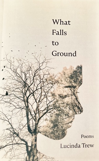 What Falls to Ground 