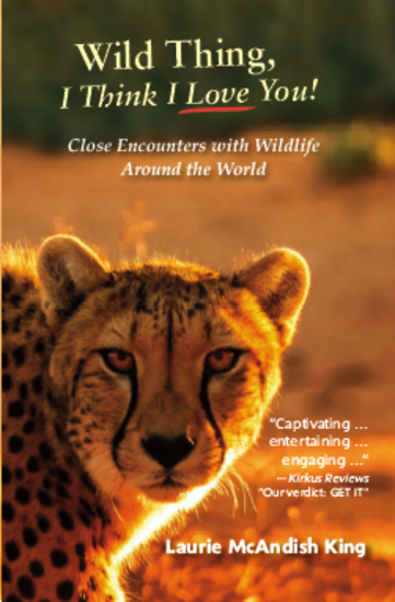 Book cover: Wild Thing, I Think I Love You!