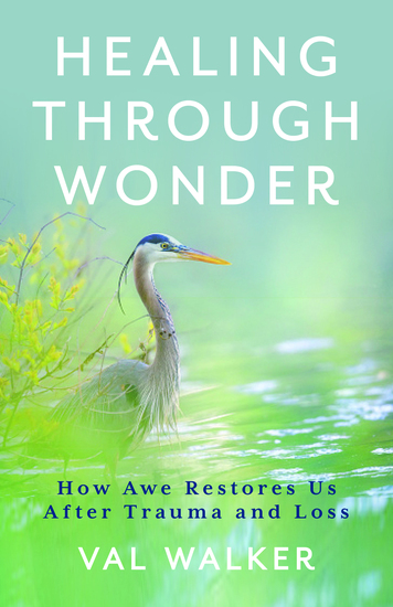 https://www.bloomsbury.com/us/healing-through-wonder-9798765159859/
