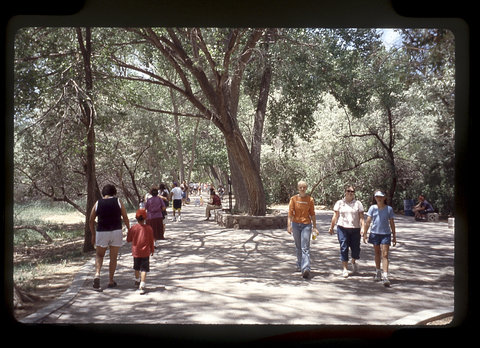 People walk among trees near river