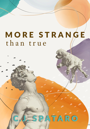 cover for More Strange Than True by C.J. Spataro