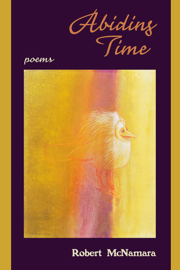 Cover of the book, Abiding Time