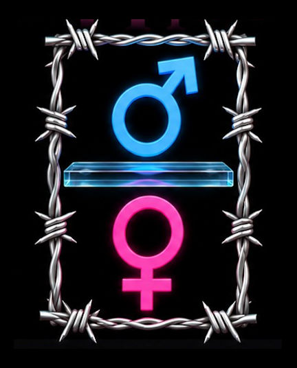 AAUF-logo---barbed-wire-w-glass-ceiling-floor.jpg