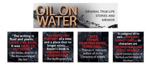 The critics rave about A Brooklyn Memoir!