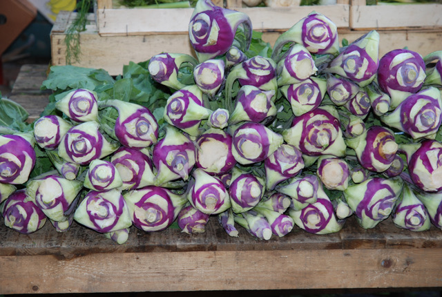 kohlrabi-purple-pattern-0104.jpeg