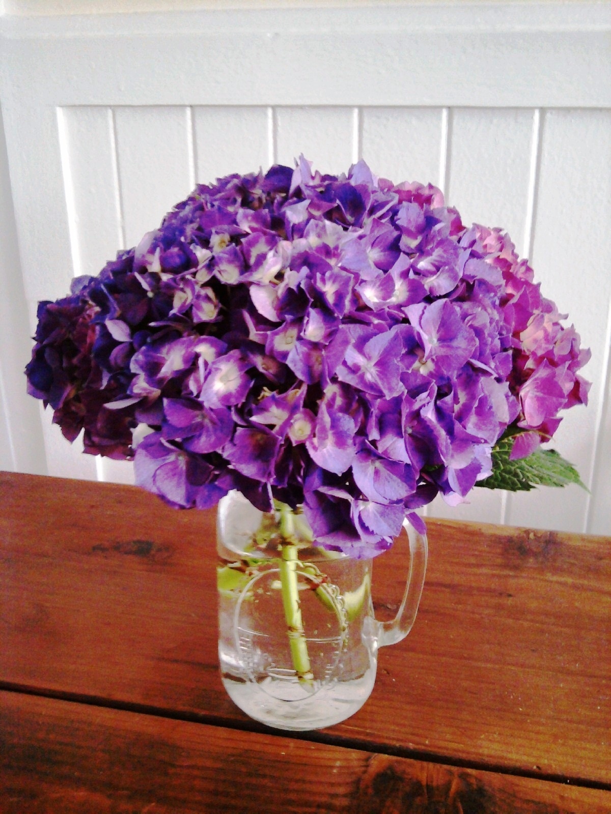 June-19-2012-purple-hydrangeas.jpg