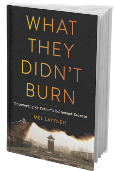 What They Didn't Burn Cover