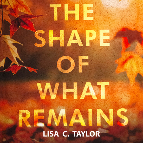 The Shape of What Remains Cover Art