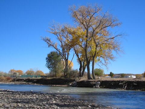 Trees and the sound of a peaceful river create calmness