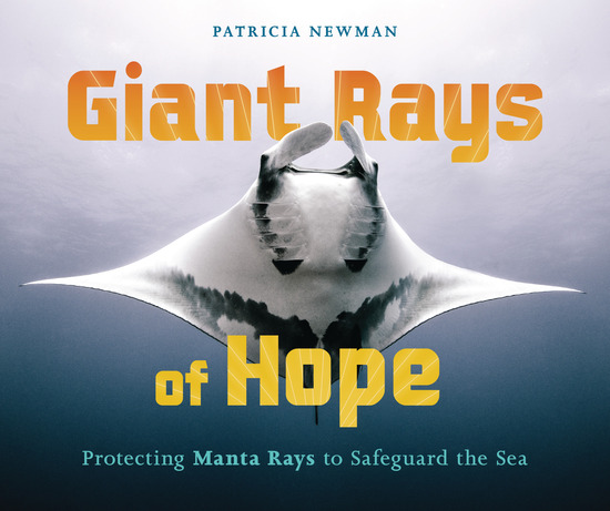 Giant Rays of Hope cover
