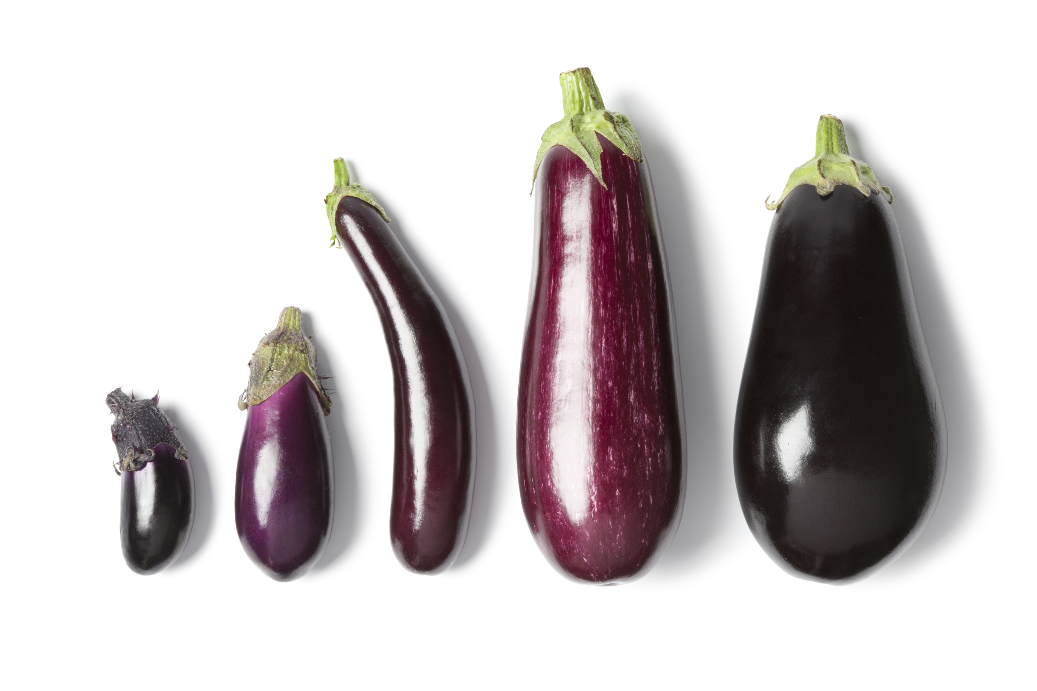 eggplants.jpg