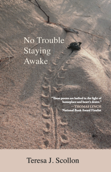 Image of book cover featuring baby snapping turtle