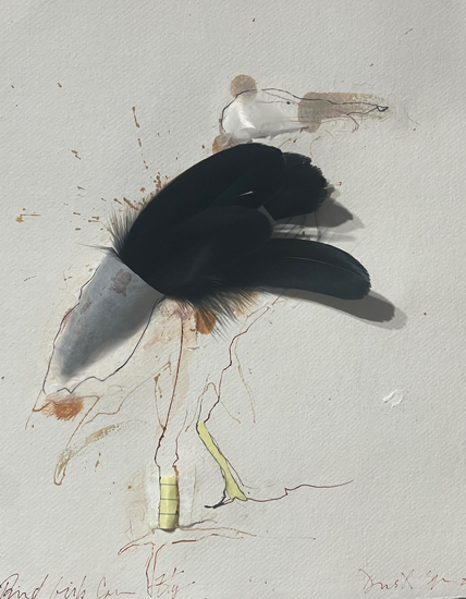 A pen and ink drawing of a crane, stuffed with black feathers