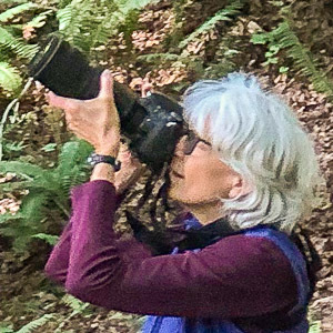 photo of Beth Ann Mathews photographing a pileated woodpecker