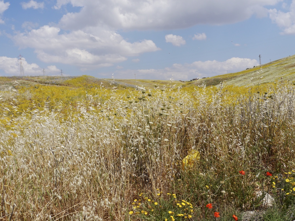 La-RosaWorks---the-Sicani-Hills-near-Sant-Angelo-Muxaro.jpeg