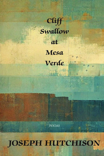 Cover of CLIFF SWALLOW AT MESA VERDE