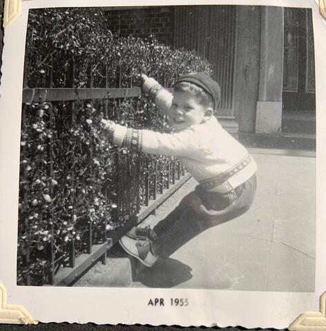 Flatbush, April 1955.