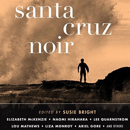 Santa Cruz Noir book cover